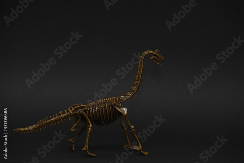 Fototapeta Naklejka Na Ścianę i Meble -  toy model of a Brachiosaurus skeleton