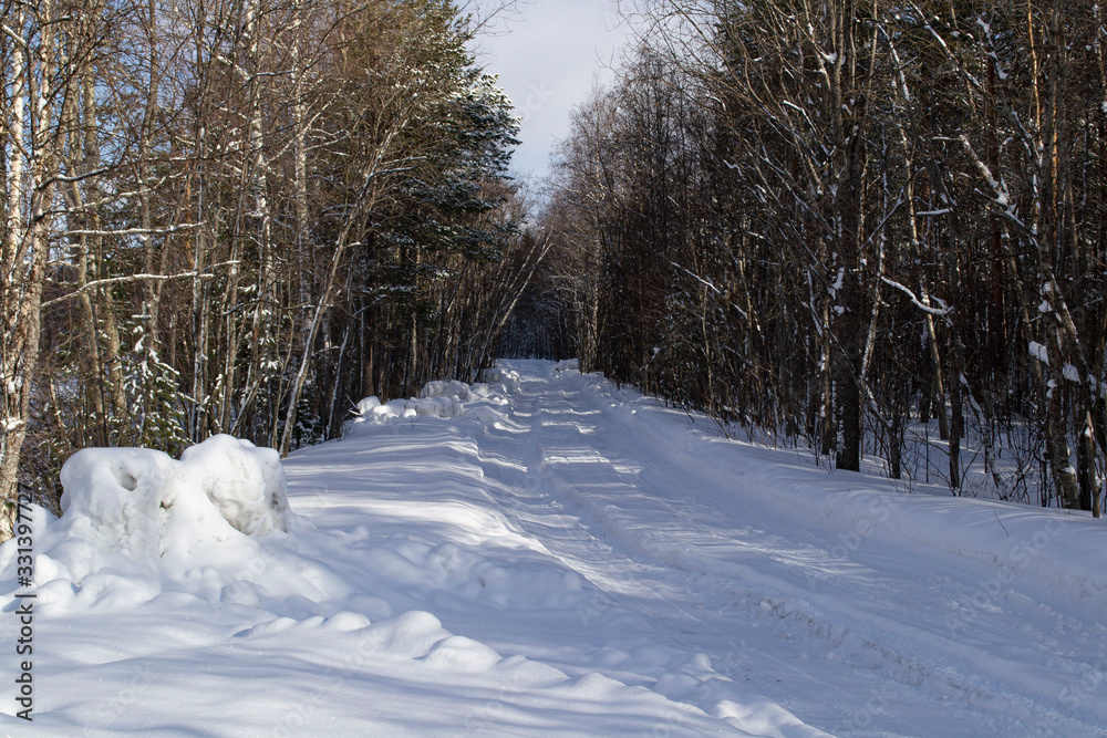 Snowy road in the winter forest. Sunny clear day. Snowy road in the winter forest. Sunny clear day.