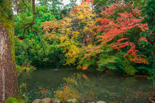 Autumn Leaves in Japan