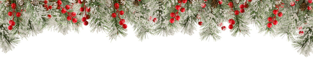 Spruce green Christmas branches with snow, red berries and cones as frame or border for winter design isolated on white background