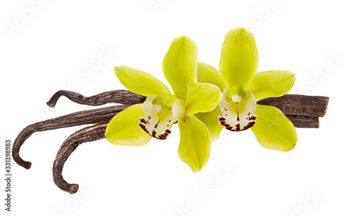 Vanilla beans isolated. Flower and pod of vanilla Orchid isolated on white background as aroma food ingredient