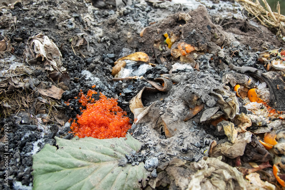 concept picky people. close-up red caviar in a garbage bin compost heap concept picky people. close-up red caviar in a garbage bin compost heap