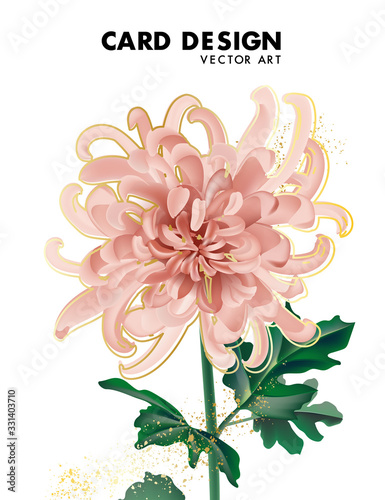 Beige chrysanthemum flower daisy bloom, big flower macro shape greeting card with gold letters, wedding design template. Lettering template on white, pastel vintage theme. Vector