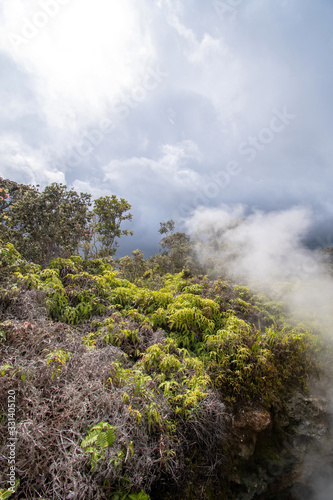 Vertical view of volcano steam vents in Big Island Hawaii 