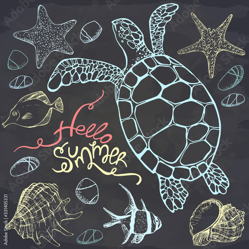 Vector illustration of tropical fish and sea turtle on chalkboard. Hello summer. Perfect for invitations, greeting cards, postcard, banners.