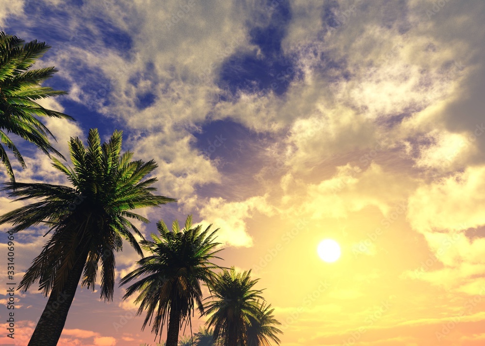 Palm trees against the sky at sunset, tropical sunset, 3D rendering