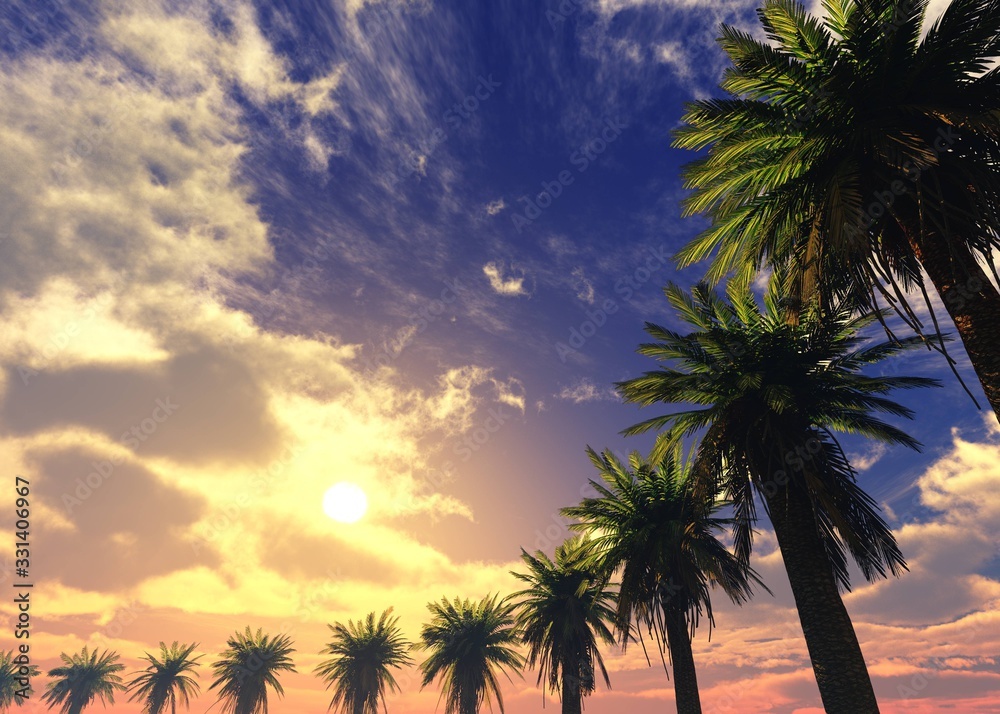 Palm trees against the sky at sunset, tropical sunset, 3D rendering