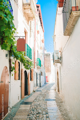 The narrow streets of the island with blue balconies, stairs and flowers. © travnikovstudio