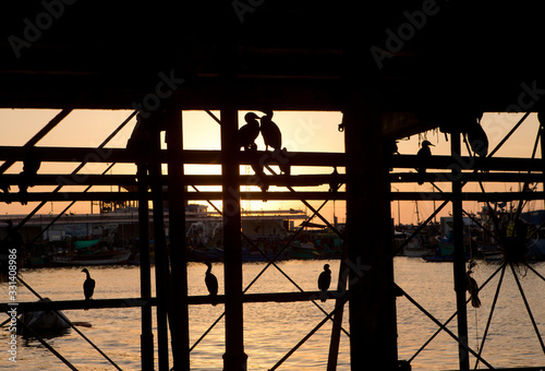 Sunset at harbour Illo Peru. Pier. Construction. Birds