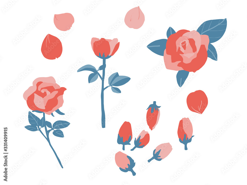 pink and red rose flowers pink and red rose flowers
