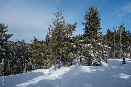 Winter in the mountains 4