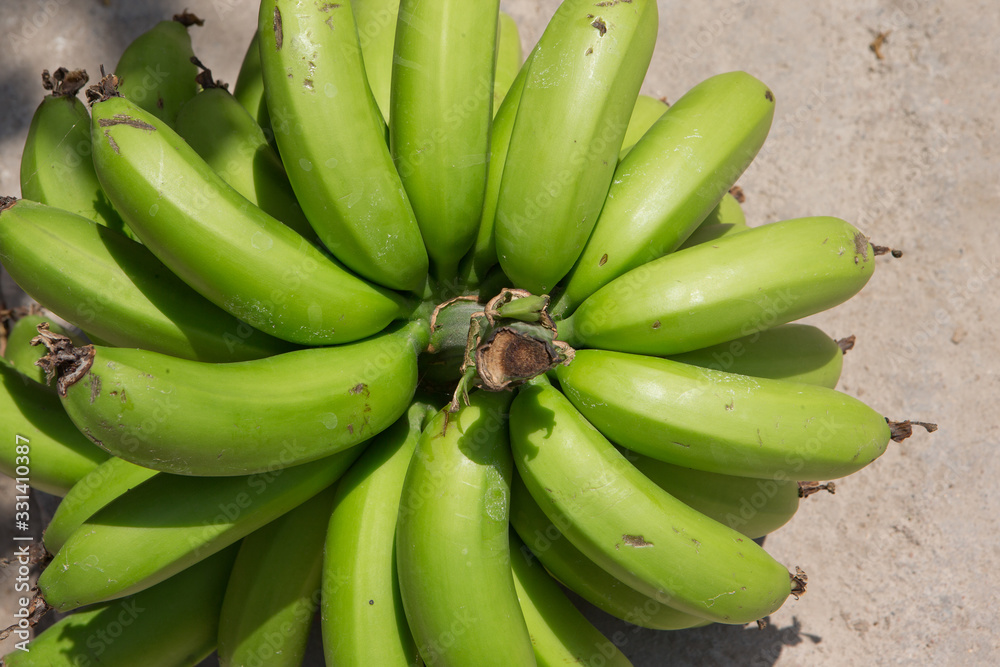 Green bananas Peru