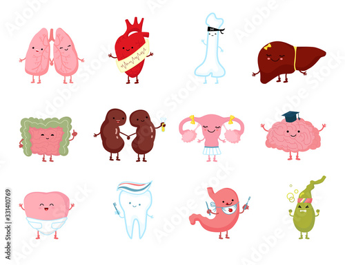 Medicine health human organ with smile character hand drawn anatomy healthy vector illustration isolated on white. Comic brain, heart, bone, liver. Healthy intestine, kidney, reproductive organ, tooth