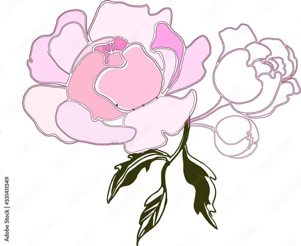 Fototapeta premium Colorful peonies flower hand drawing line art nature tattoo petal design pion plant illustration romantic sketch spring summer vector leaf floral garden graphic decoration botanical