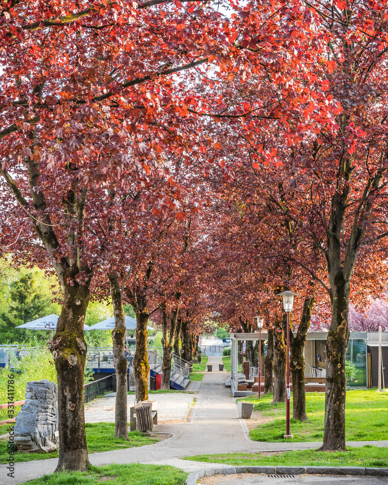 Naklejka premium Wolfsberg