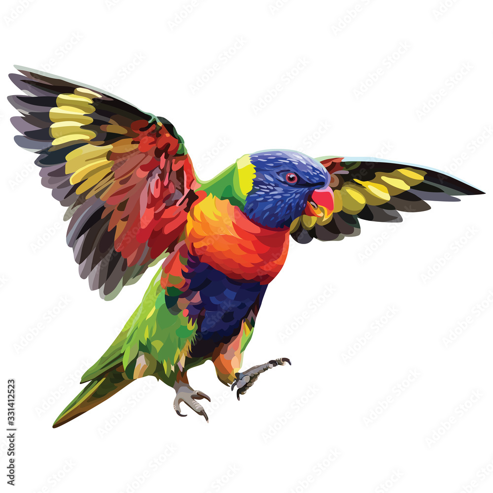 Fototapeta premium Vector colorful loridae parrot
