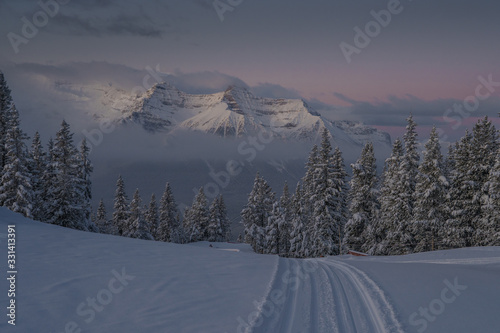 Early morning panorama at Lake Louise ski area with fresh snow just being ridden over. Snowy path on a fresh ski slope.