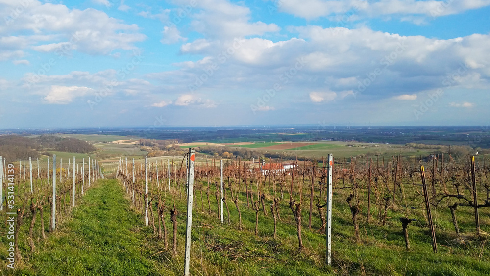  Wunderschöner Blick über die Weinberge in Rheinland-Pfalz