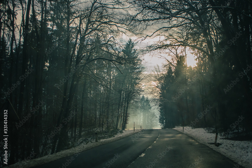 Winter asphalt road winding through the forest. Dangerous head light and a blind spot on the road in forest. Winter asphalt road winding through the forest. Dangerous head light and a blind spot on the road in forest.
