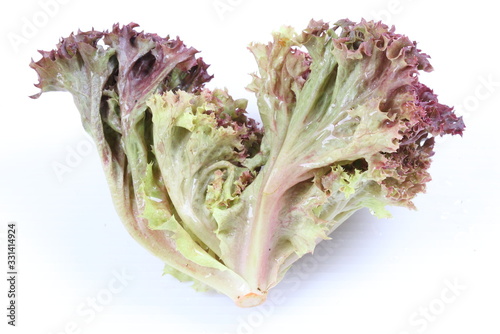 Red coral salad isolated on the white background.