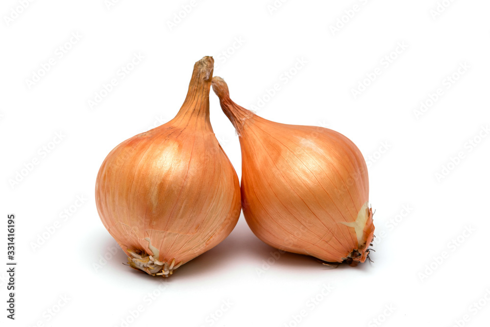 two fresh bulbs of onion on a white background