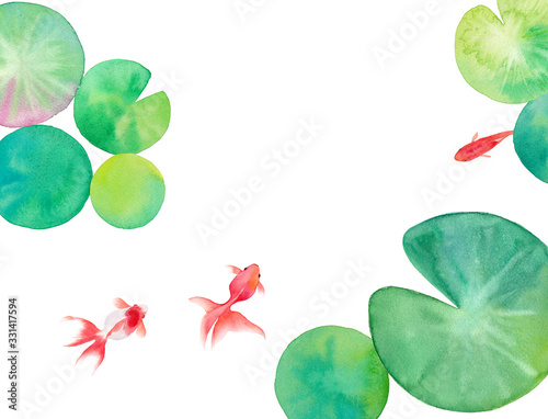 池で泳ぐ3匹の金魚と睡蓮の葉を構成した水彩イラスト 暑中見舞い背景 Stock Illustration Adobe Stock 池で泳ぐ3匹の金魚と睡蓮の葉を構成した水彩イラスト 暑中見舞い背景 Stock Illustration Adobe Stock