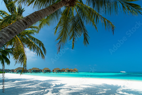 Fototapeta Naklejka Na Ścianę i Meble -  Sandy beach of tropical island in the Maldives
