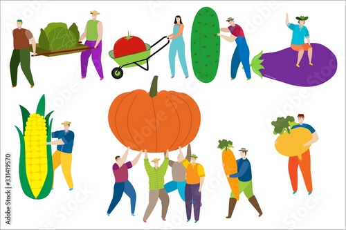 Tiny man and women in work clothes collect nature products in vector natural food illustration isolated on white. People bring vegetables, carry tomatoes on cart, mans holding corn, cucumber, pumpkin