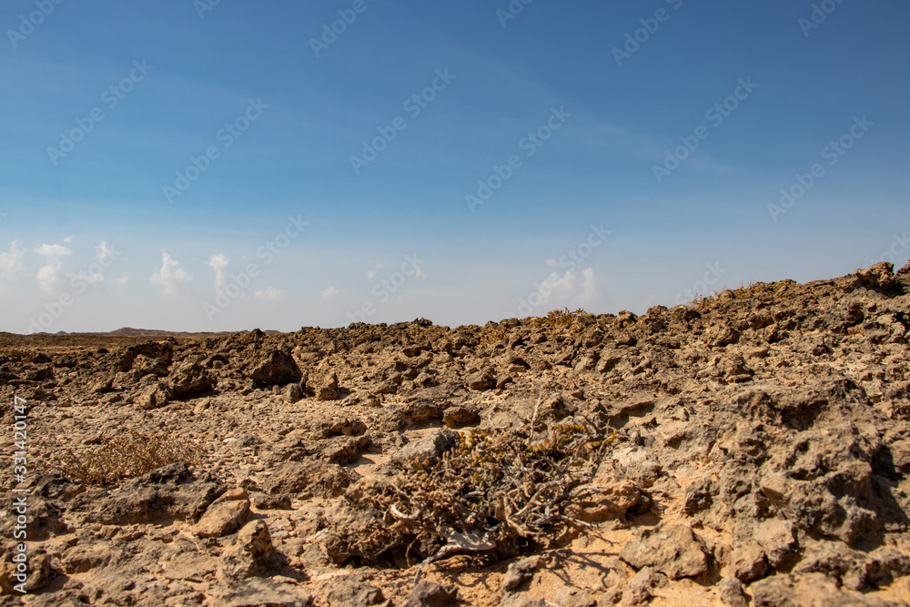 Stone desert jiddat al Harasis along the coastal road to Salalah in Oman