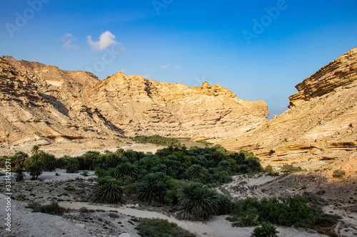 View of Wadi Al Nakheel along the coastal road to Salalah in Oman photo