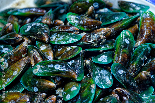 Green-lipped Mussels on sale