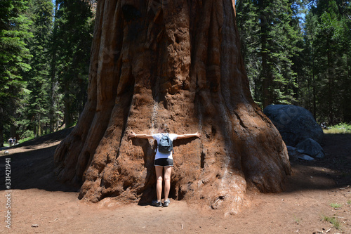 girl hugging a giant sequoia tree in sequoia national forest