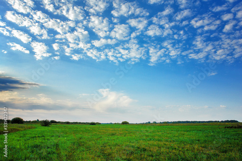 Green grass in a meadow against blue sky with white clouds
