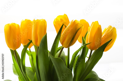 Bouquet of yellow tulips lit by sunlight on a white background