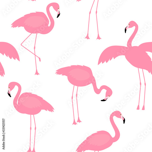  Vector flamingo bird seamless pattern © Ирина Шишкова