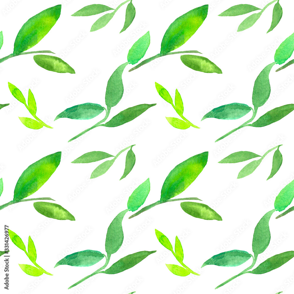 green leaves watercolor pattern, twigs, white background,eco