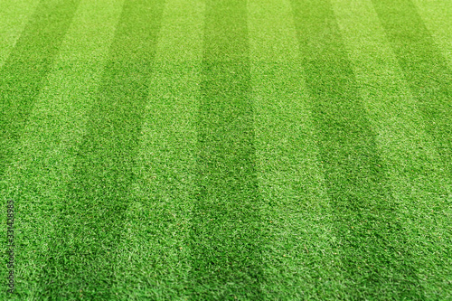 Stripe grass soccer field. Sport lawn background.