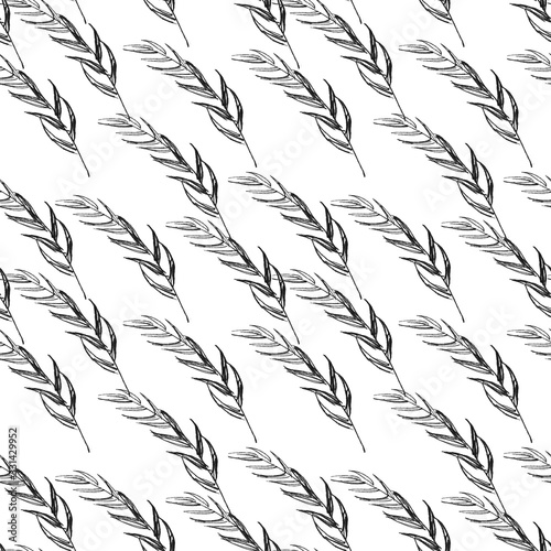 Fototapeta Naklejka Na Ścianę i Meble -  black and white illustration, spikelet, grass pattern plant