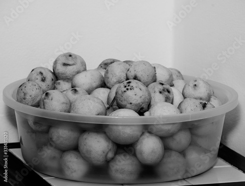 fruit composition of organic lemons photo