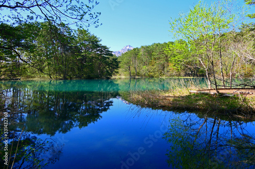 初夏の五色沼湖沼群、弁天沼。磐梯朝日国立公園。北塩原、福島、日本。5月中旬。