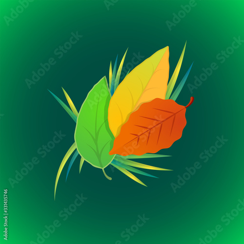 vector stale leaves grass illustration.