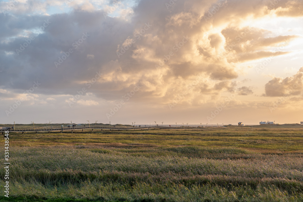 Landscape with salt marshes and pier of St Peter-Ording