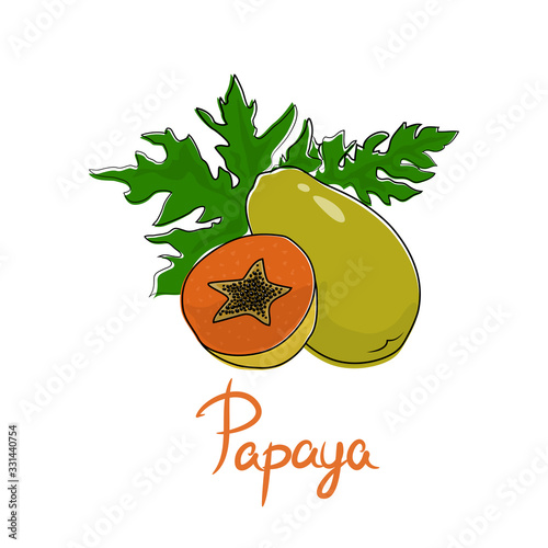 Pawpaw and text Papaya , tropical fruit isolated on white background, vector illustration