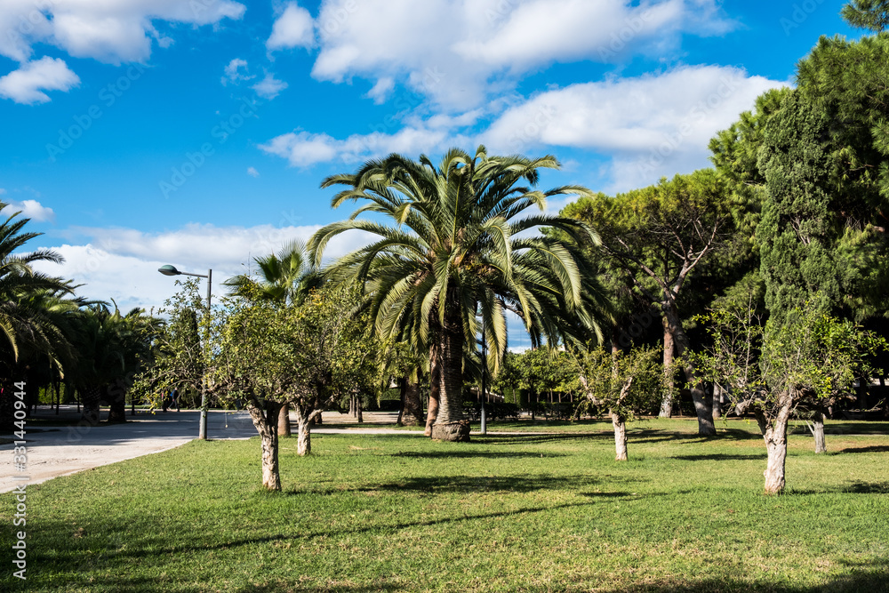 Green spring park with fresh grass, trees, palms. Beautiful nature background Green spring park with fresh grass, trees, palms. Beautiful nature background