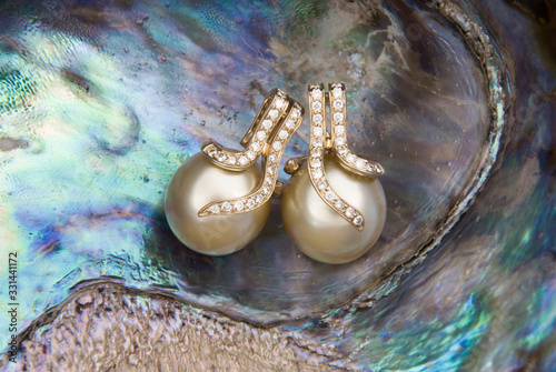 Vászonkép South Sea Golden Pearls Earrings With Diamonds On Mother of Pearl shell (Pinctad