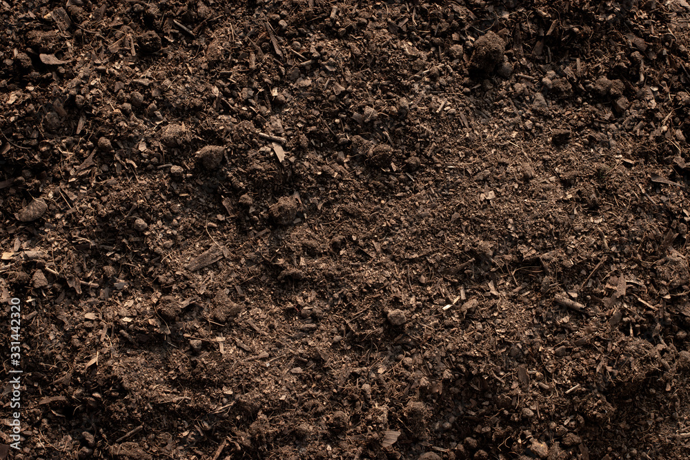 Soil texture background, Fertile loam soil suitable for planting.  фотография Stock | Adobe Stock