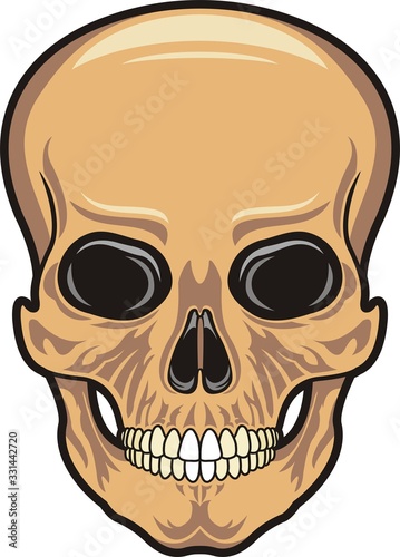 Evil human skull