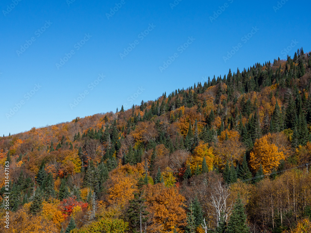 Autumn in Mont Tremblant, Canada