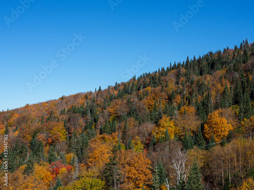 Autumn in Mont Tremblant  Canada