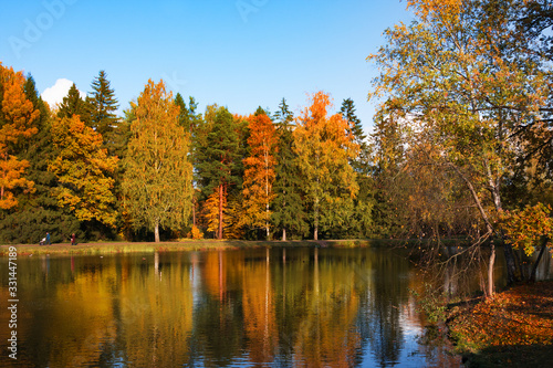 Autumn foliage in Pavlovsky park  Pavlovsk  Saint Petersburg  Russia. Autumn park with pond. Sky is reflected in water.